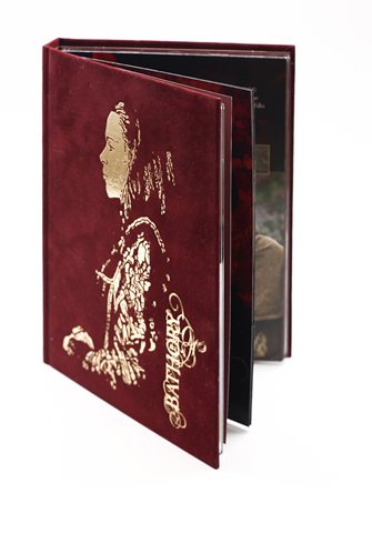 DVD-book-with-velvet-cover-and-hot-foil